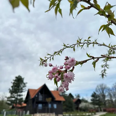 Ozoni & Sauna Holiday park Sopot