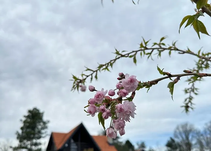 Ozoni & ホリデーパーク Sopot